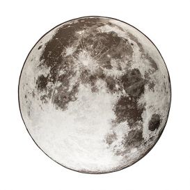 Zuiver Buitenkleed Moon 280 cm steengrijs