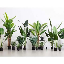 Kunstplant Strelitzia groen 108 cm