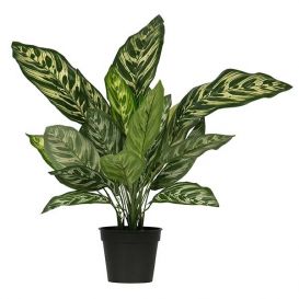 WOOOD Kunstplant Aglaonema groen 50cm